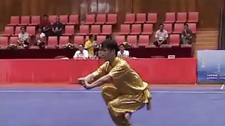 2011年全国武术套路冠军赛 男子项目
