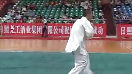 第八届全国武术之乡武术比赛 男子拳术组 C-D