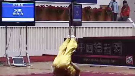 2011年全国武术套路冠军赛（传统项目）男子器械