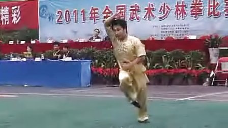 2011年首届全国武术少林拳比赛 男子拳术