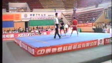 1999年“家进杯”全国武术锦标赛散打个人赛