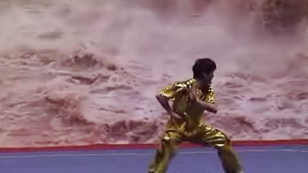 2011年全国武术套路精英赛 男子项目