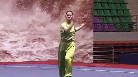 2011年全国武术套路精英赛 女子项目