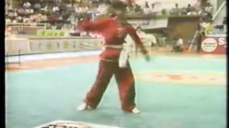 1990年马来西亚国际武术节
