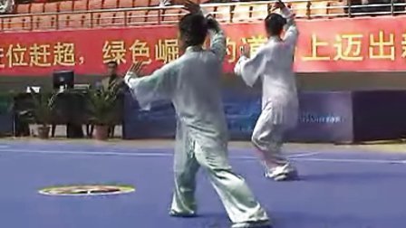2010年全国武术套路锦标赛 传统项目（男女太极拳械）