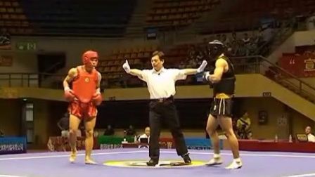 2012年全国男子武术散打精英赛