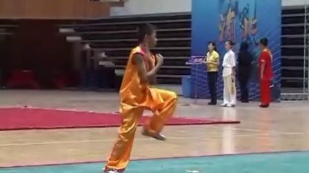 第九届全国“武术之乡”武术套路比赛 男子拳术