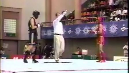 2002年釜山亚运会武术散打比赛