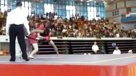 第三届世界青少年武术锦标赛（散打）