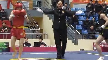 2012年全国武术散打冠军赛（男子）