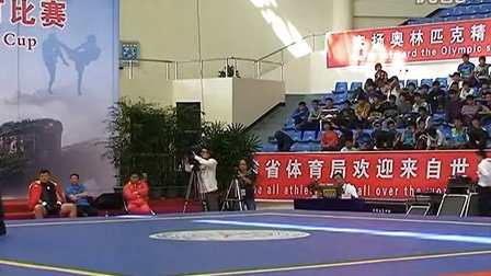 第六届世界杯武术散打比赛