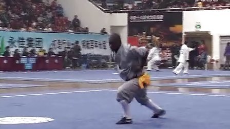 第五届世界传统武术锦标赛 国际部分（二）