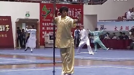 第五届世界传统武术锦标赛 国内部分（一）