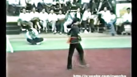 1987年第六届全运会武术套路冠军表演