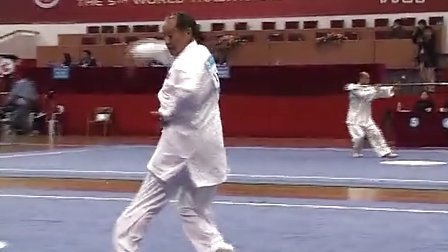第五届世界传统武术锦标赛 国际部分（一）