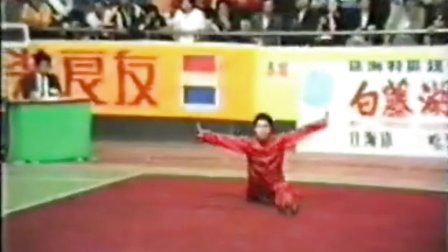 1987年第六届全运会武术套路决赛（竞技项目）