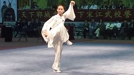 2007年第六届全国武术之乡武术比赛