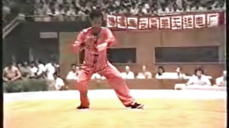 1985年西安武术国际邀请赛