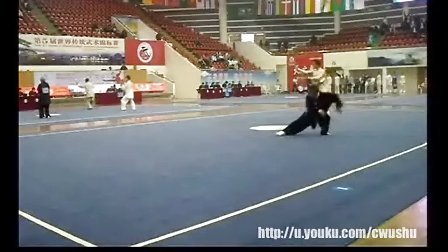 第五届世界传统武术锦标赛 国内部分（二）（三）