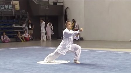 2013年世界太极拳精英赛