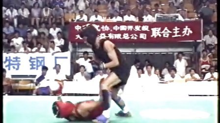 1991年全国武术散打擂台赛