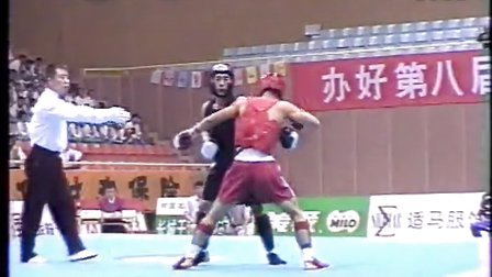第八届全运会武术散打比赛