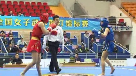 2014年全国女子武术散打锦标赛