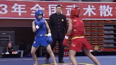 2013年全国武术散打冠军赛（女子项目）