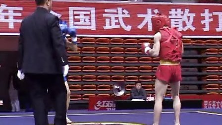 2013年全国武术散打冠军赛（男子项目）
