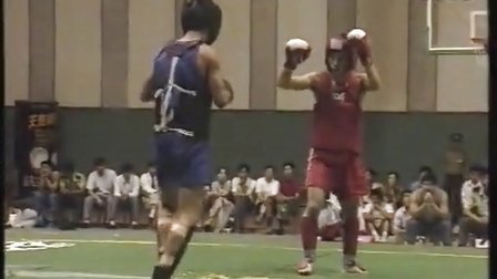 95中华武术散手擂台争霸赛（海南）第二版