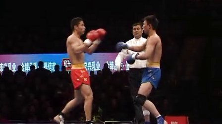 2013年中国真功夫武术散打百强赛总决赛