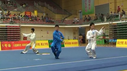2014年全国武术套路冠军赛（传统项目）男子太极项目