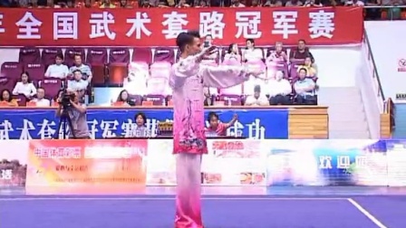 2014年全国武术套路冠军赛 男子项目