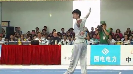 2014年全国武术套路锦标赛（男子）拳术 器械 一