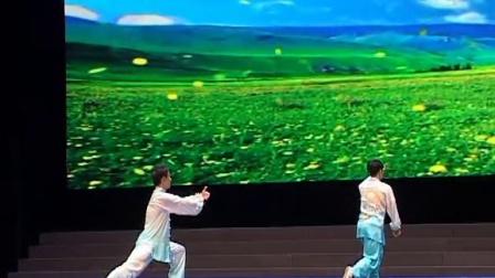 2014年全国武术套路锦标赛太极拳赛 男子项目 
