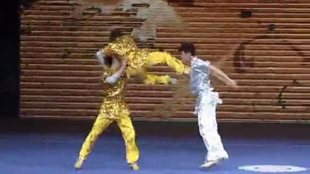 2014年全国武术对练大奖赛 男子项目 