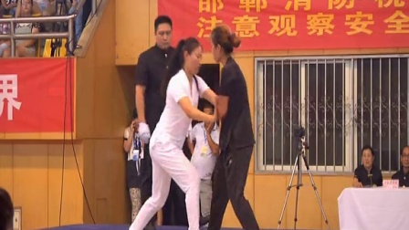2014年第12届中国邯郸国际太极拳运动大会太极推手表演