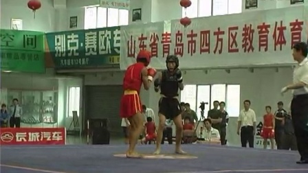  2005年全国青少年武术散打锦标赛