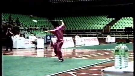 2000年全国武术男子套路锦标赛 传统项目