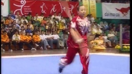 第一届世界青少年武术锦标赛集锦