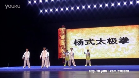 2015年全国武术套路锦标赛太极拳赛 男子项目