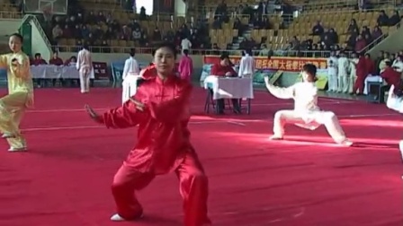 2003年全国武术太极拳交流大赛集锦
