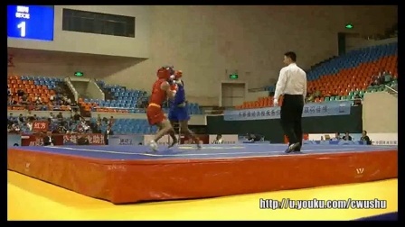 2015年全国武术散打冠军赛 男子项目