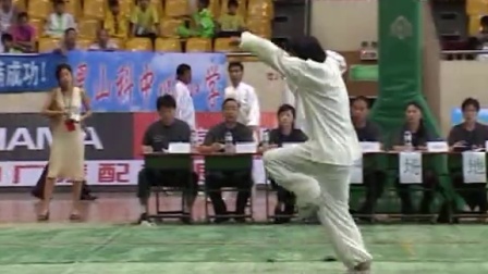 2004年全国传统武术交流大会 男子拳术（二）