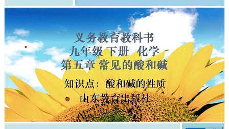 山东教育出版社初中化学九年级下册