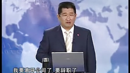 【陈凡】- 中国企业进入国际资本市场