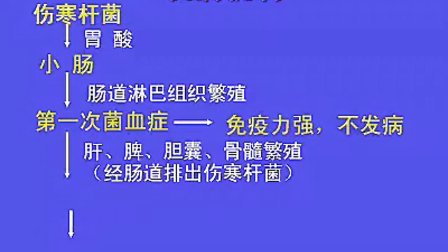 伤寒和副伤寒（乙类传染病）