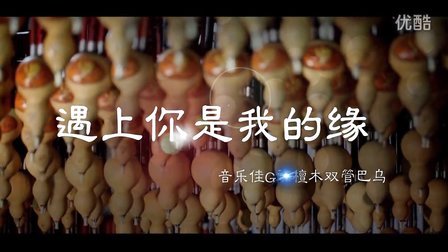零基础学习双管巴乌视频教学教程 巴乌入门与提高免费教学