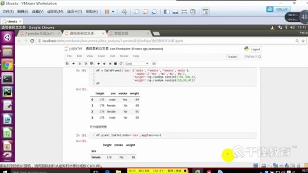 Python最新高级教程：数据处理和分析