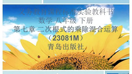 青岛出版社63制初中数学八年级下册-状元视频书系列